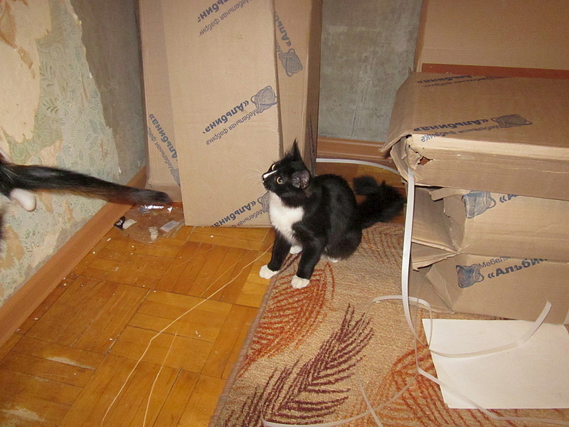 click for enlarge 1920 X 1440 646.4 Kb picture