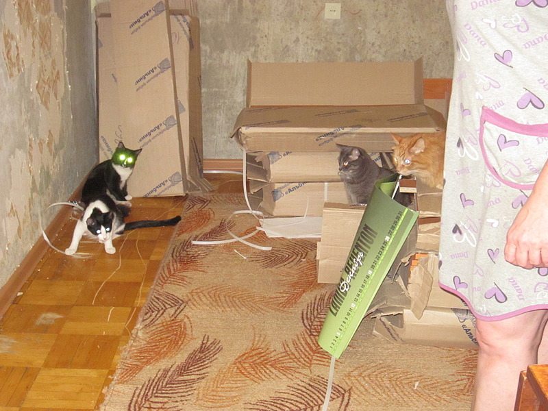 click for enlarge 1920 X 1440 635.0 Kb picture