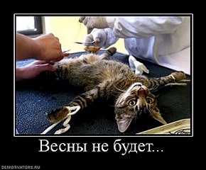 click for enlarge 640 X 529 44.2 Kb picture
