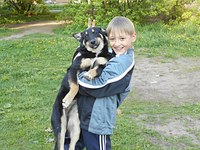 click for enlarge 1280 X 960 335.7 Kb picture