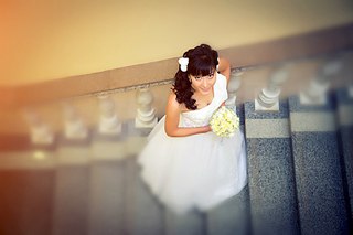 click for enlarge 900 X 600 58.6 Kb picture