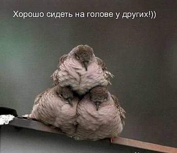 click for enlarge 450 X 389  16.7 Kb picture