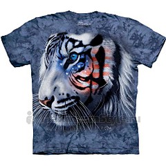 click for enlarge 500 X 500  63.3 Kb picture