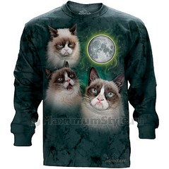 click for enlarge 804 X 805 107.2 Kb picture