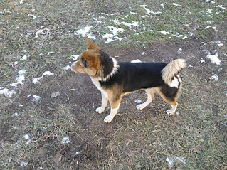 click for enlarge 1630 X 1222 777.1 Kb picture