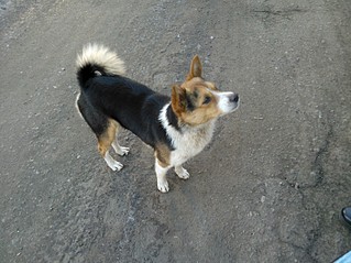 click for enlarge 1630 X 1222 528.8 Kb picture