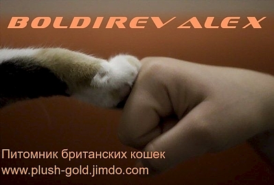 click for enlarge 585 X 394 99.3 Kb picture