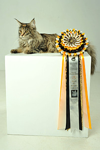 click for enlarge 1920 X 2885 916.2 Kb picture