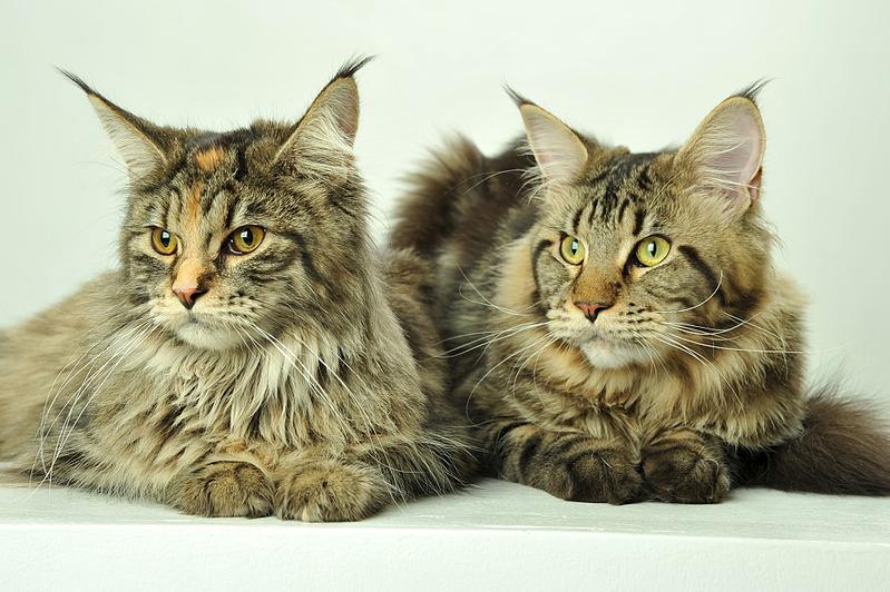 click for enlarge 1920 X 1277 665.2 Kb picture