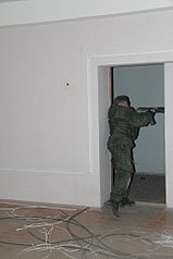 click for enlarge 682 X 1024 71.8 Kb picture