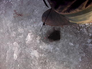 click for enlarge 1920 X 1440 916.1 Kb picture