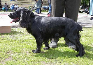 click for enlarge 470 X 330 107.6 Kb picture