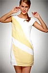 click for enlarge 210 X 316 13.5 Kb picture