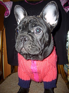 click for enlarge 1920 X 2560 543.7 Kb picture