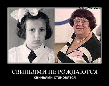 click for enlarge 520 X 409 31.0 Kb picture
