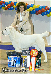 400 X 573 68.2 Kb 400 X 300 96.8 Kb   