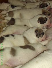 620 X 813 67.7 Kb 750 X 479 96.0 Kb 580 X 451 71.6 Kb 400 X 573 68.2 Kb 400 X 300 96.8 Kb   