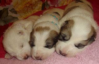 1132 X 728 110.3 Kb 840 X 754 91.0 Kb 1007 X 542 81.5 Kb 868 X 497 64.0 Kb 996 X 386 54.4 Kb   