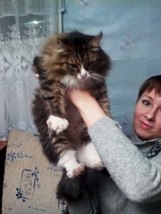 1920 X 2560 301.1 Kb  -  -2 :) ,      !