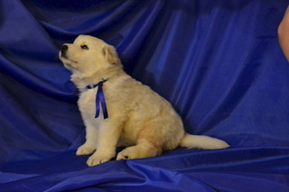 1920 X 1280 368.5 Kb     , 