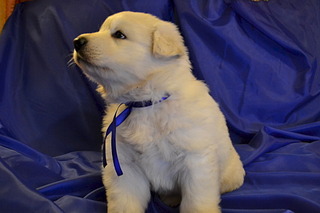 1920 X 1280 372.5 Kb     , 