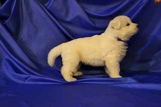 1920 X 1280 389.6 Kb     , 