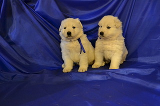 1920 X 1280 397.7 Kb     , 