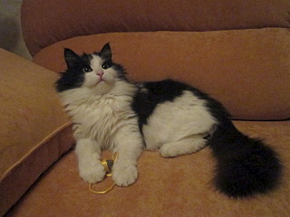 640 X 480 86.4 Kb 640 X 480 121.4 Kb 640 X 480 89.7 Kb   