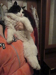 480 X 640 93.5 Kb 640 X 480 86.4 Kb 640 X 480 121.4 Kb 640 X 480 89.7 Kb   