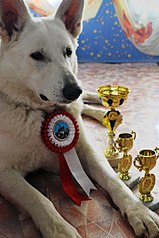 682 X 1024 124.3 Kb     , 