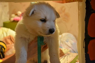 1920 X 1280 378.6 Kb     , 