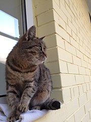 768 X 1024 118.2 Kb 768 X 1024 84.5 Kb    ()