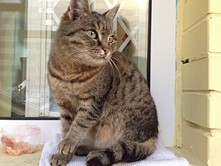 1280 X 960 179.1 Kb 768 X 1024 92.9 Kb 768 X 1024 118.2 Kb 768 X 1024 84.5 Kb    ()