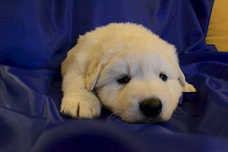 1920 X 1280 470.6 Kb    