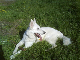 1600 X 1200 502.4 Kb    