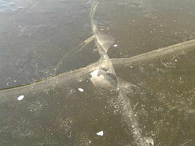 1600 X 1200 761.8 Kb 1600 X 1200 806.6 Kb 1600 X 1200 877.4 Kb ! ˸ .   