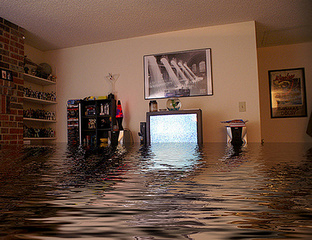 585 X 450 145.6 Kb   . 