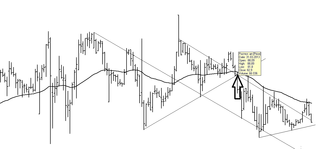 1277 X 595 38.1 Kb  .     -   .