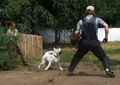 604 X 426 80.0 Kb 520 X 386 58.8 Kb    