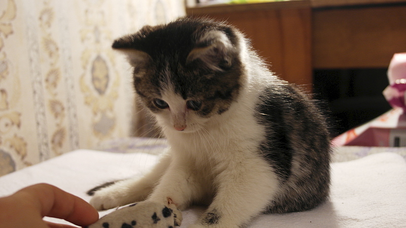 1920 X 1080 621.9 Kb         .