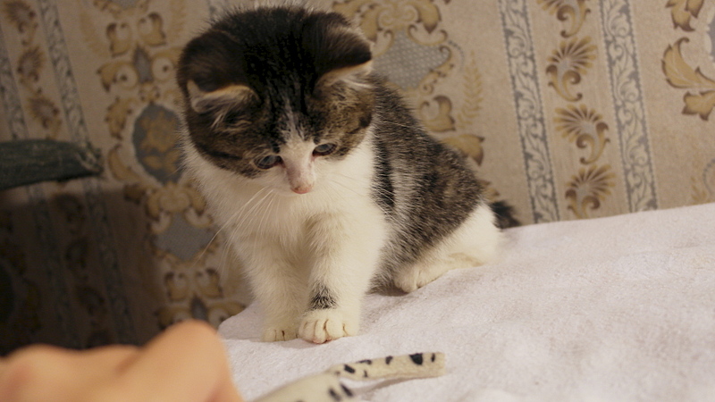 1920 X 1080 649.4 Kb         .