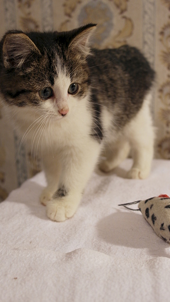 1920 X 3411 234.7 Kb         .