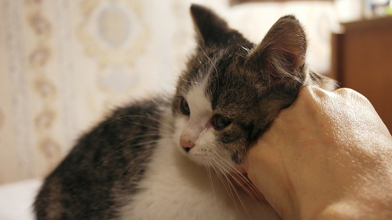 1920 X 1080 624.0 Kb         .