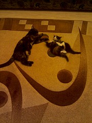 1920 X 2560 882.4 Kb 1920 X 2560 970.8 Kb 1920 X 1440 550.1 Kb     