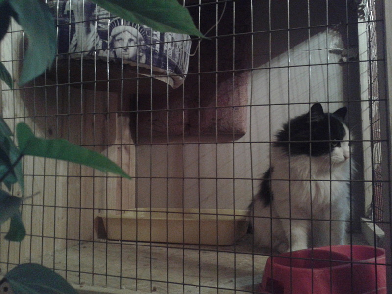 1920 X 1440 499.6 Kb   