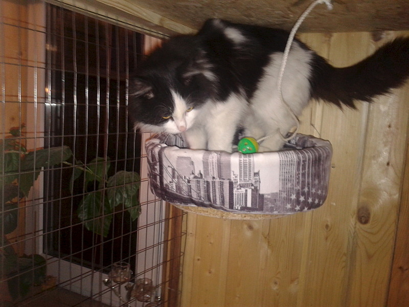 1920 X 1440 509.3 Kb   