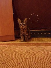 605 X 807 112.6 Kb   !