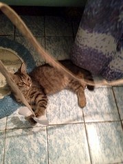 605 X 807  94.2 Kb 605 X 807 110.5 Kb 605 X 807 112.6 Kb   !