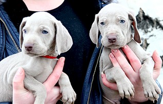 1920 X 1229 516.0 Kb   