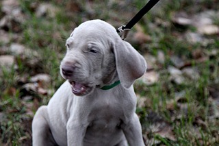 1920 X 1280 563.8 Kb   